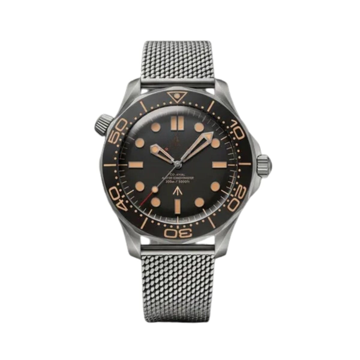 Seamaster Diver 007 Edition Collector's Piece
